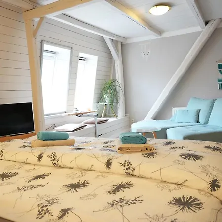 Haevn Am Meer, Koje Und Reußenköge