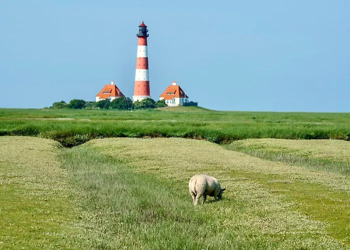 Haevn Am Meer, Koje Und *